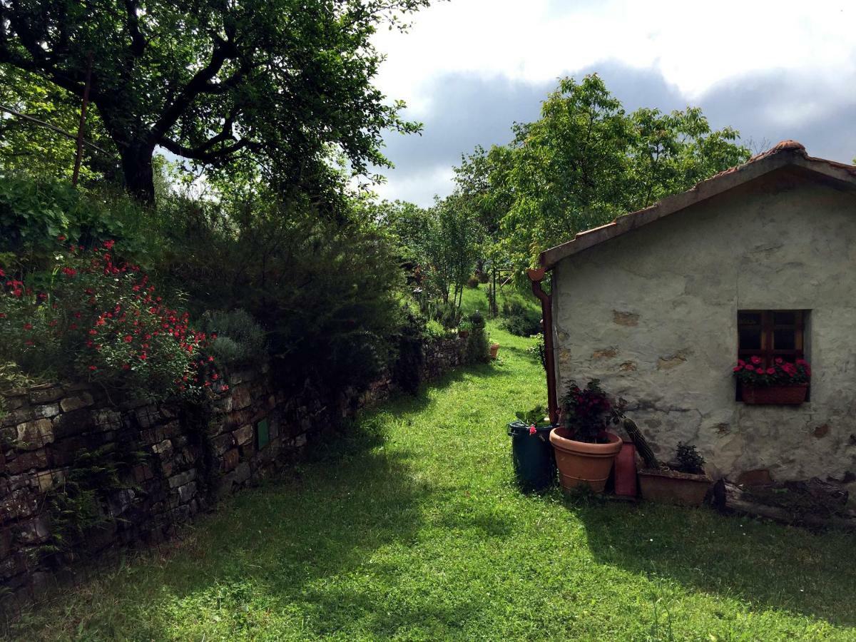 Andante Appartamenti Castelnuovo di Val di Cecina Exterior photo